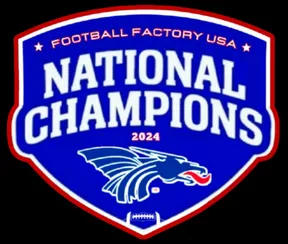 Blue Dragons 2024 Football Championship Tee