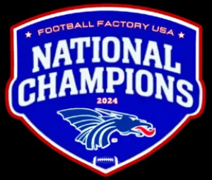 Blue Dragons 2024 Football Championship Tee