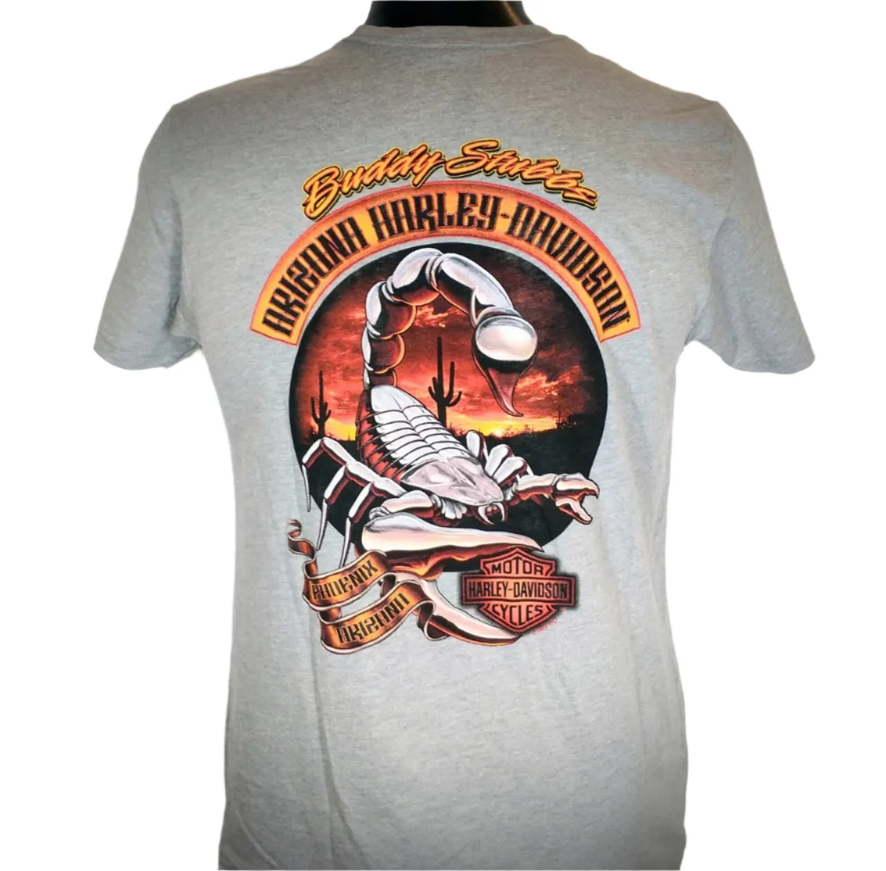 Men's Harley-Davidson Crackling T-Shirt - Gray