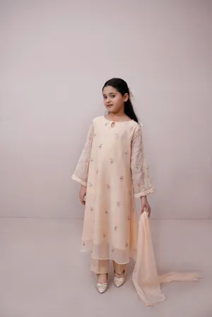 Pwd Pink Embroidered Chiffon