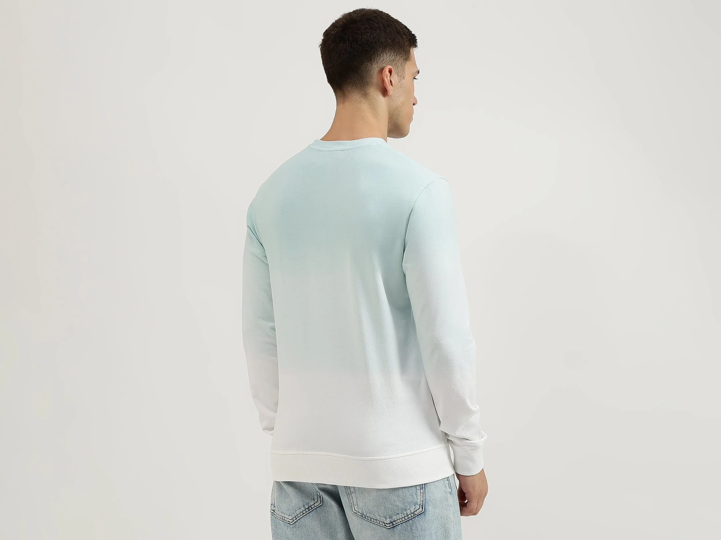 Regular Fit Crew Neck Ombre Sweatshirt