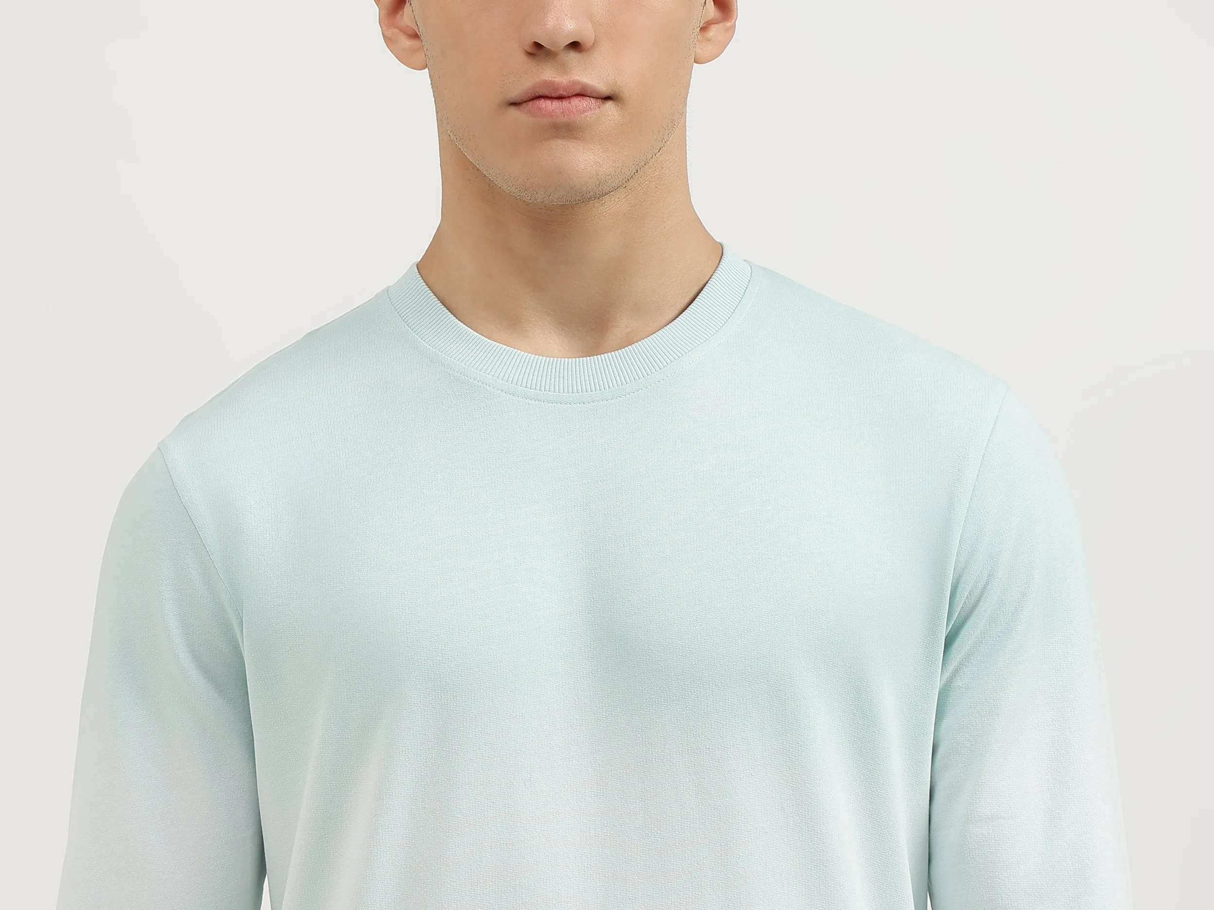 Regular Fit Crew Neck Ombre Sweatshirt