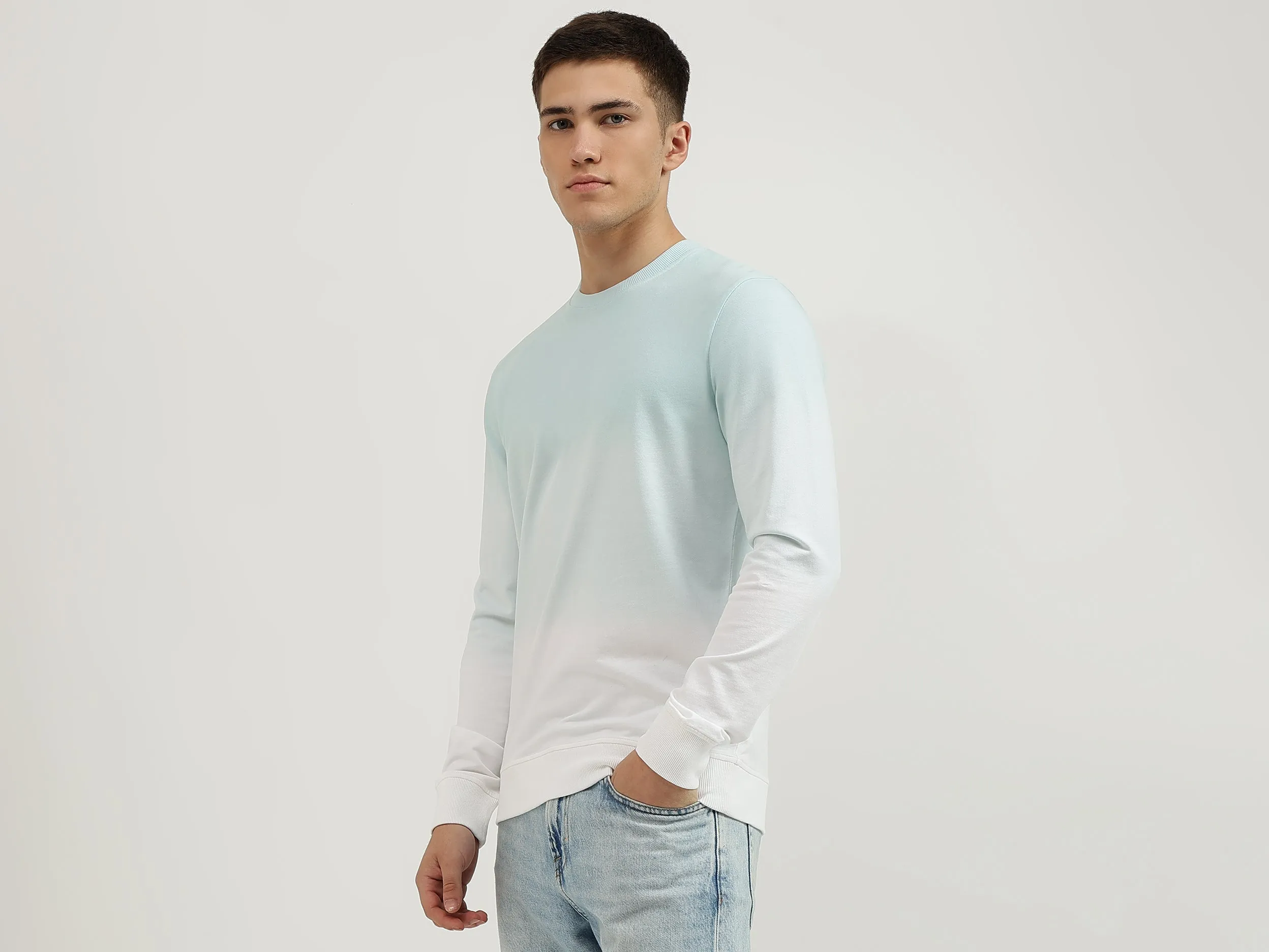Regular Fit Crew Neck Ombre Sweatshirt
